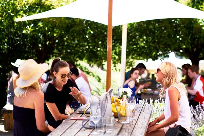 Montalto Vineyard: Mornington Peninsula Discovery Wine Tasting and Lunch - Accessibility and Minimum Age