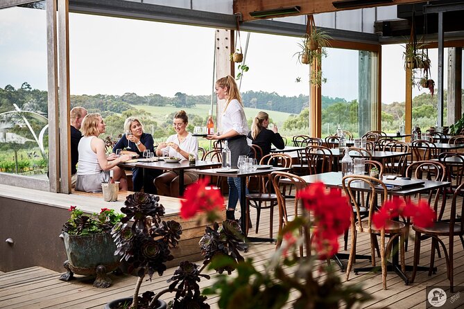 Montalto Vineyard: Mornington Peninsula Discovery Wine Tasting and Lunch - Cancellation Policy