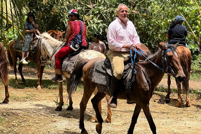 Montaña Redonda and Horseback Riding From Punta Cana (Half Day) - What to Expect