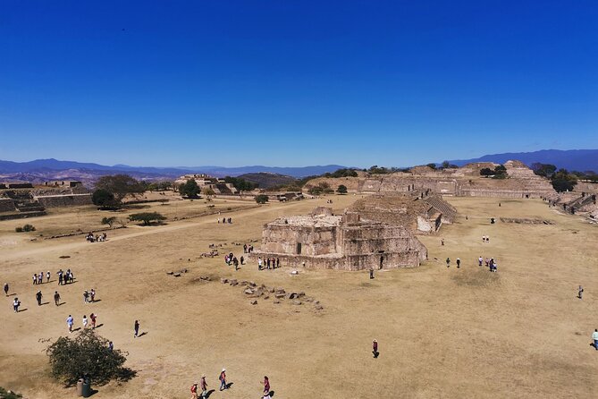 Monte Alban - Full Day Guided Tour With or Without Food - Oaxaca - Traveler Reviews