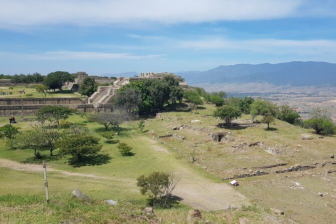 Monte Albán Half Day Tour - Who Should Book This Tour?