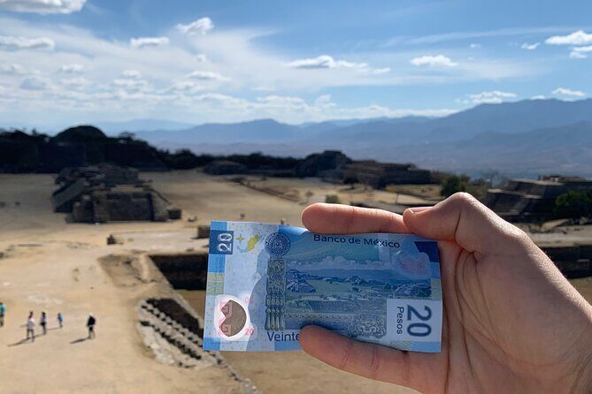 Monte Albán Morning Half-Day Tour Small Group, Transport & Guide - Exploring Monte Albán: A Small-Group Half-Day Tour in Oaxaca