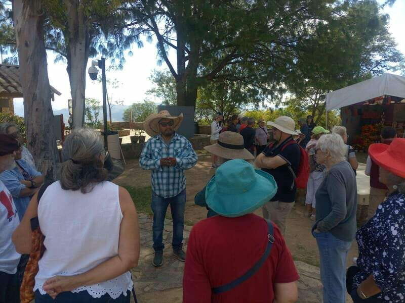 Monte Alban Walking Tour - Transportation and Logistics