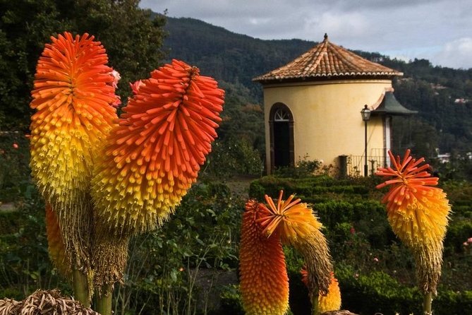 Monte & Botanical Gardens - Madeira Botanical Garden