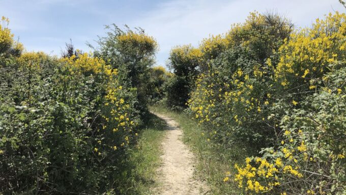 Monte San Bartolo: E-Bike Rental With Picnic Basket - Frequently Asked Questions