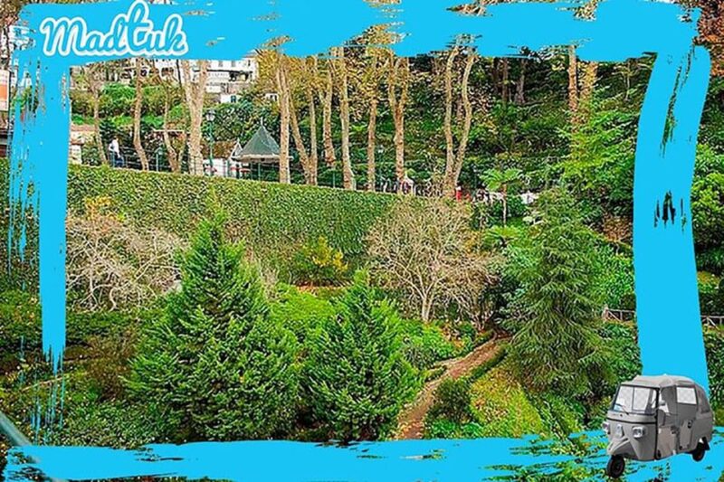Monte: Toboggan Tuk-Tuk Tour - Itinerary and Experience