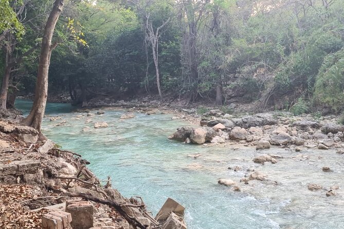 Montebello Lakes and Waterfalls Tour From San Cristobal - Traveler Highlights