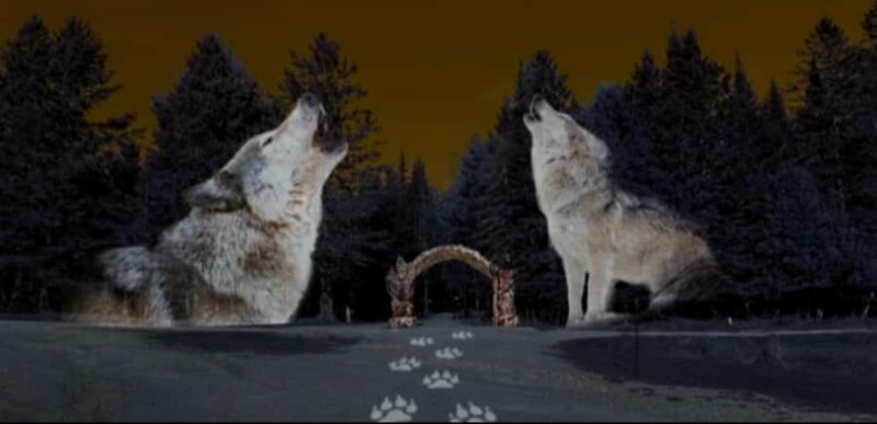 Montebello, QC: Parc Omega ONIRO Immersive Experience at Night - Authentic Voices and Practical Tips