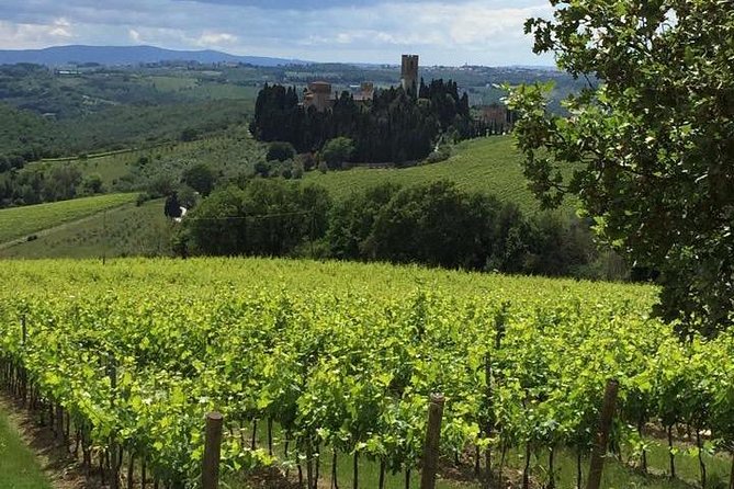 Montecatini Private Day Trip To Chianti & San Gimignano - Cancellation Policy