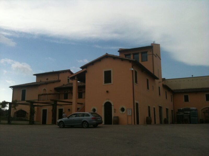 Montefalco and Bevagna Wine Tasting Full-Day Tour - Customer Reviews