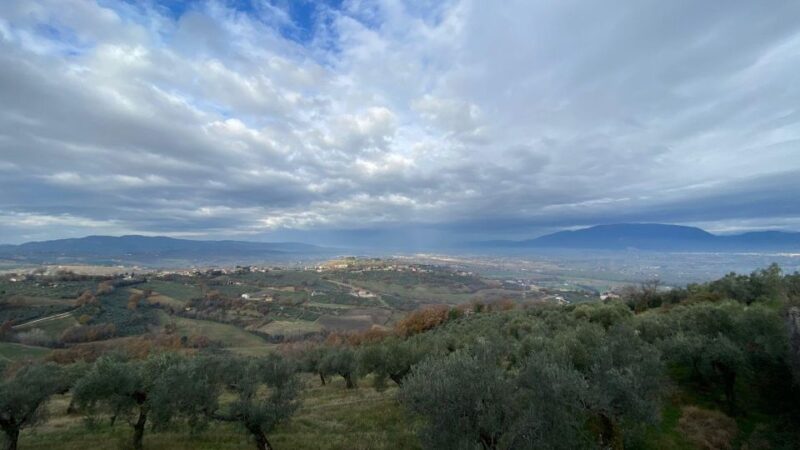 Montefalco: Guided Tour With Vineyard Visit and Lunch - Key Points