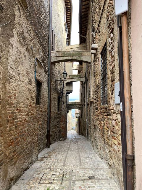 Montefalco: Guided Tour With Vineyard Visit and Lunch - Availability and Booking