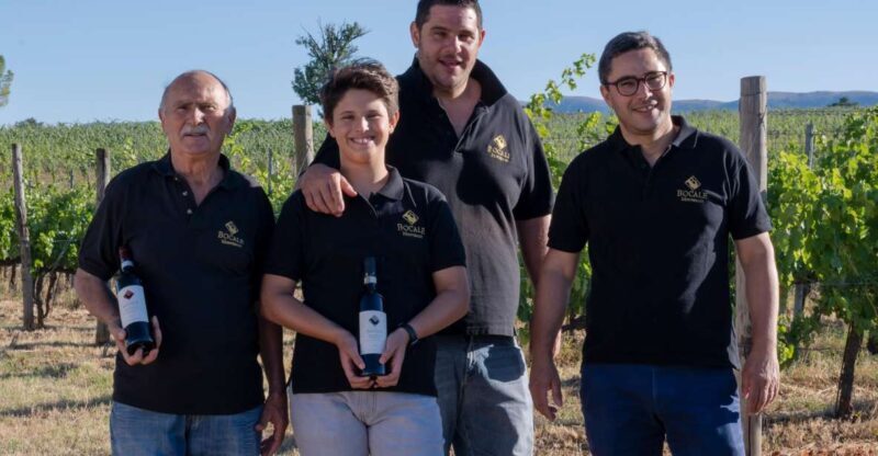 Montefalco: Winery and Vineyard Tour and Private Tasting - Itinerary and Activities Included