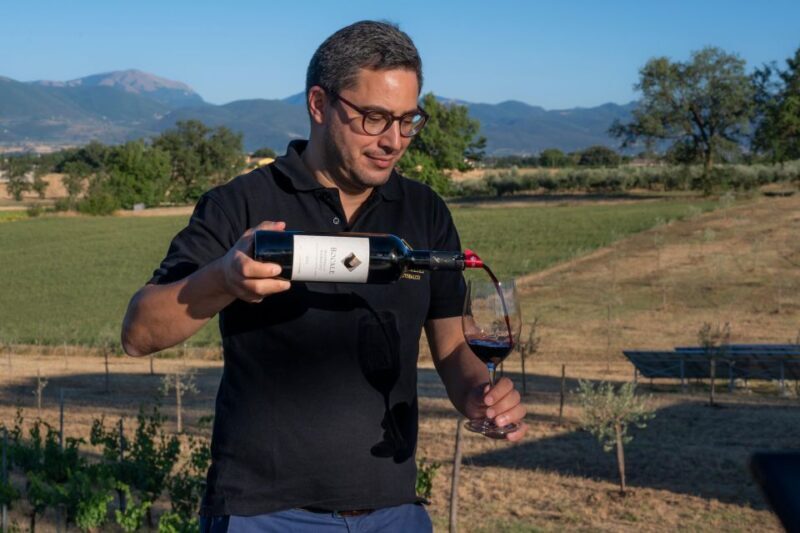 Montefalco: Winery and Vineyard Tour and Private Tasting - Since Your Asked