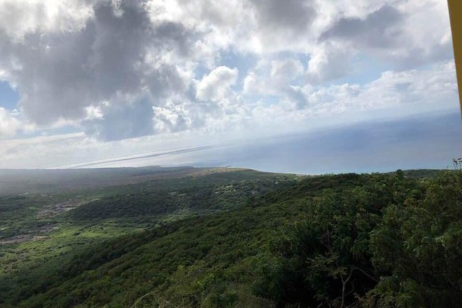 Montego Bay Airport Pickup/Drop Off(Group)Transportation Only - Accessibility and Requests