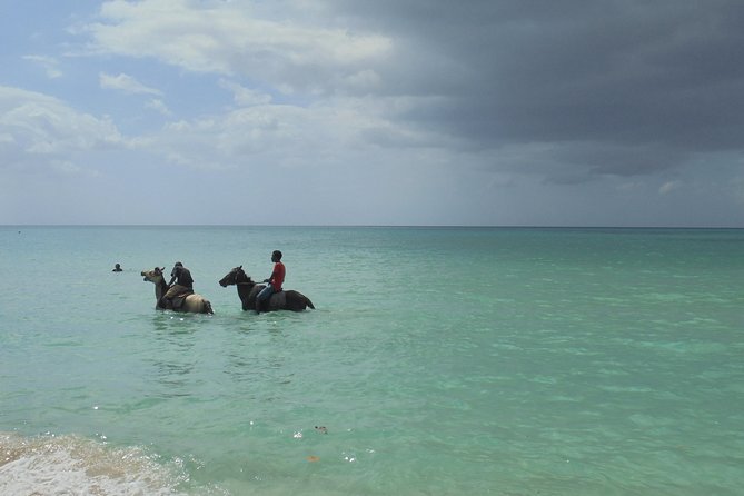 Montego Bay Airport Transfer to Negril - Comfort and Amenities of Vehicles