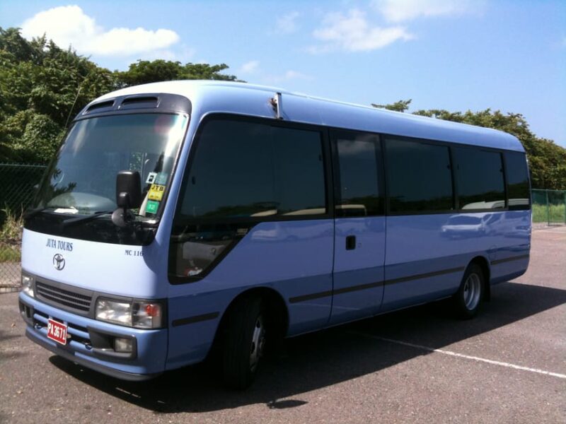 Montego Bay Airport Transportation to Negril - Transfer Service Highlights