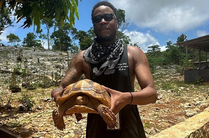 Montego Bay ATV Experience Tickets and Admissions - Introduction
