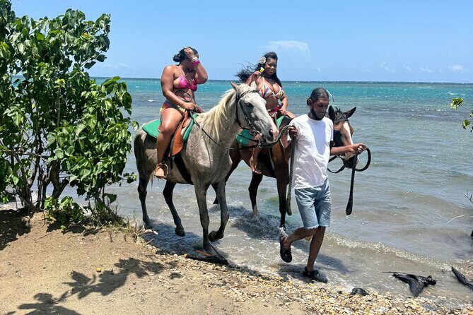 Montego Bay Beach Horseback Riding Tour - What to Expect on Your Horseback Ride