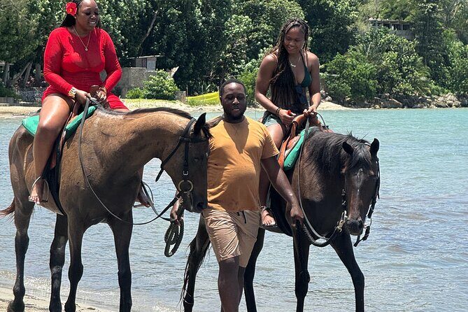 Montego Bay Beach Horseback Riding Tour - Authentic Experiences and Glowing Reviews