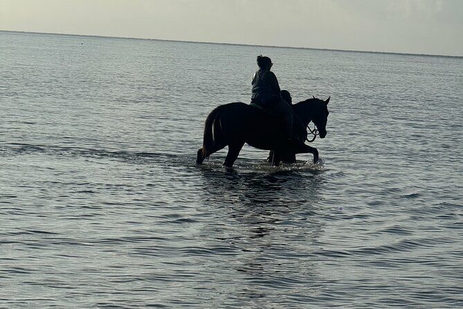 Montego Bay Beach Horseback Riding Tour - The Sum Up