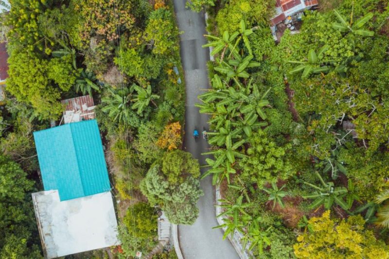 Montego Bay: Blue Mountain Highlights With Lunch and Brunch - Inclusions
