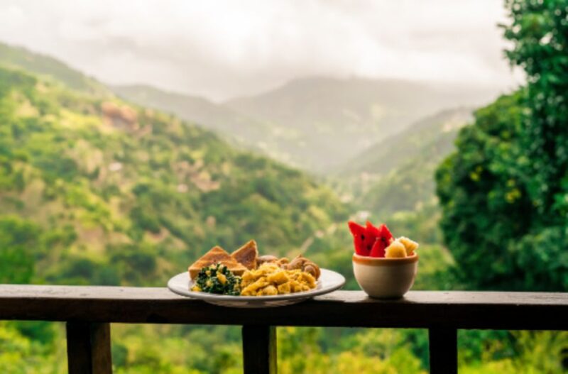 Montego Bay: Blue Mountain Hike With Waterfall Swim & Lunch - Guide and Briefing