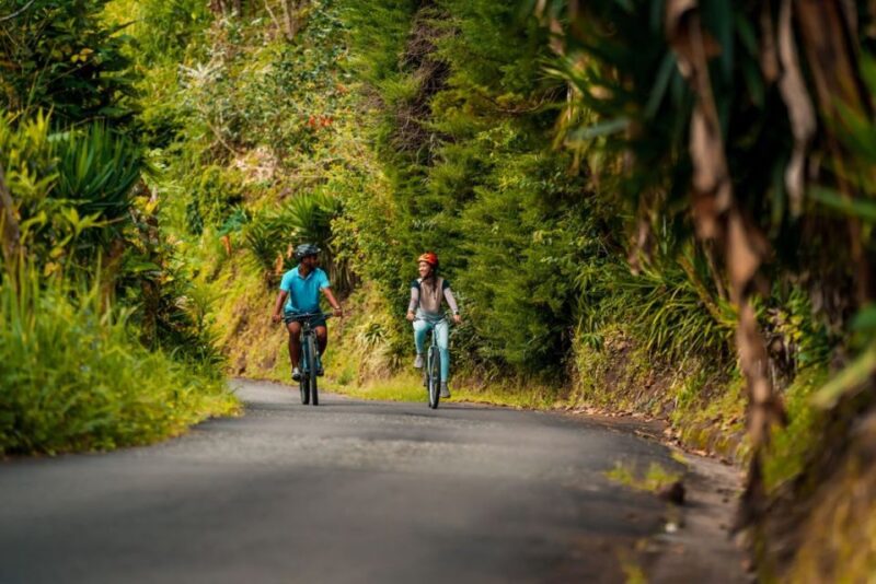 Montego Bay: Blue Mountain Private Bicycle Tour - Preparation and Recommendations
