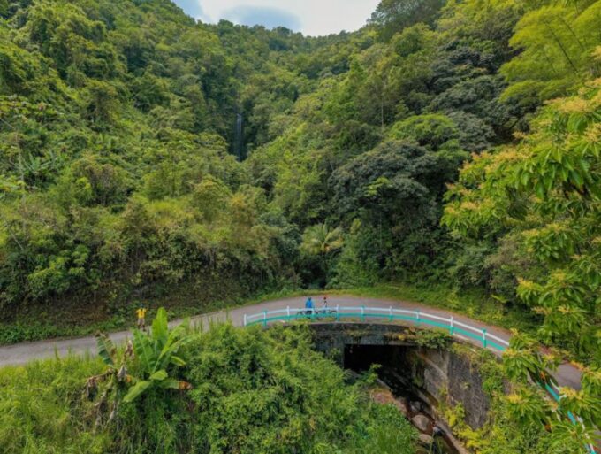 Montego Bay: Blue Mountain Private Bicycle Tour - Customer Feedback