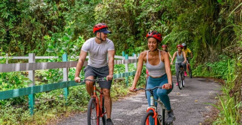 Montego Bay: Blue Mountains Bicycle Tour With Brunch & Lunch - Key Points