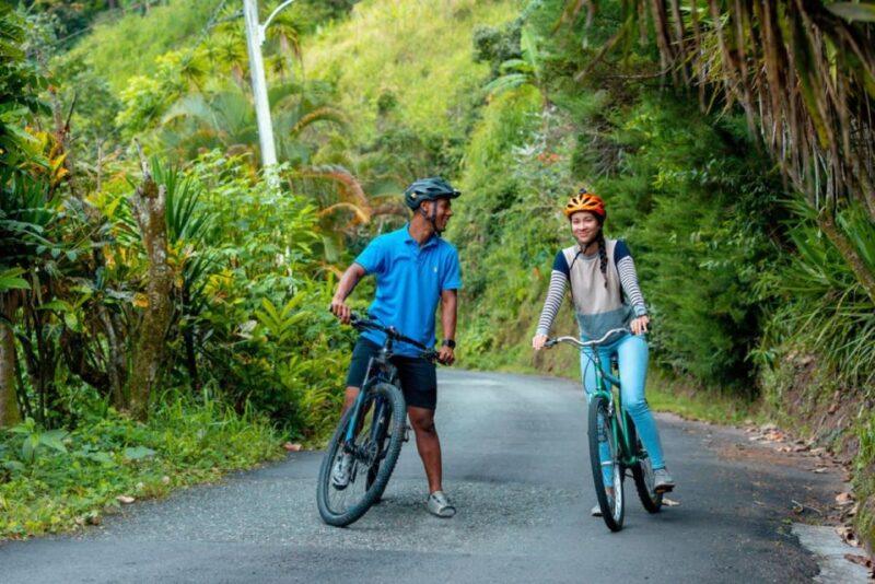 Montego Bay: Blue Mountains Bicycle Tour With Brunch & Lunch - Refreshing Jungle Waterfall Swim