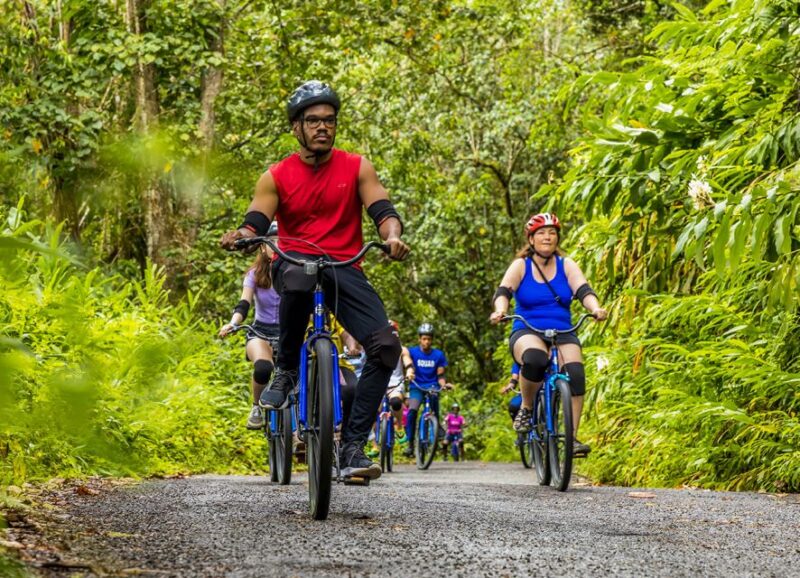 Montego Bay: Blue Mountains Bicycle Tour With Brunch & Lunch - Scenic Coffee Farm Vistas