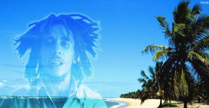 Montego Bay: Bob Marley Tour to 9 Mile, St. Ann - Itinerary Highlights