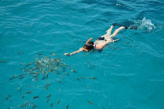 Montego Bay Catamaran Cruise and Snorkeling Tour From Falmouth - Overview of the Tour