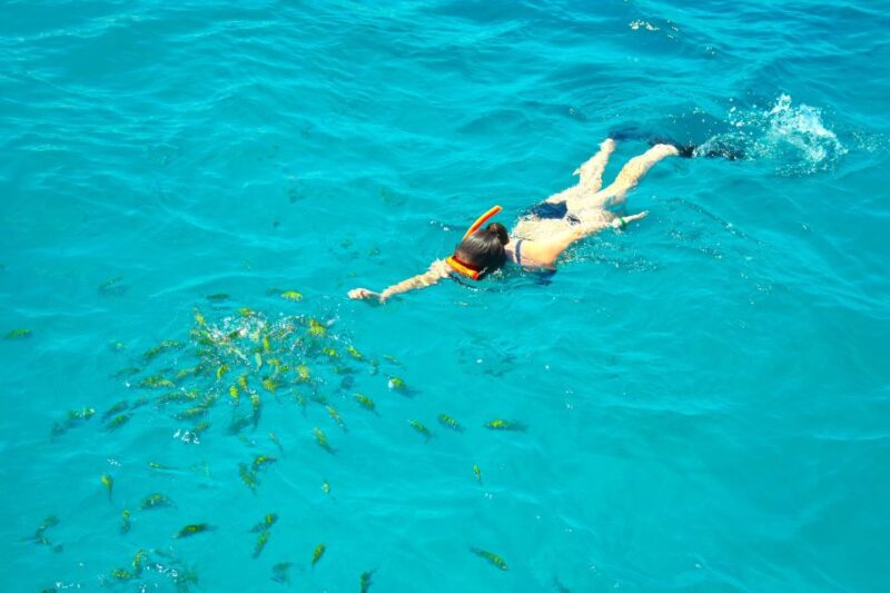 Montego Bay Catamaran Cruise and Snorkeling Tour - Experience Highlights