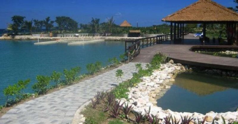 Montego Bay: Dolphin Cove Tickets - Customer Reviews