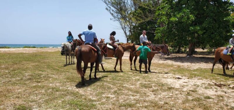 Montego Bay: Green Grotto Cave+Horseback Riding+River Tubing - Inclusions