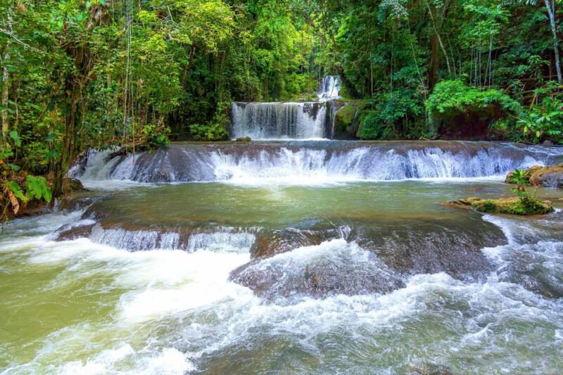 Montego Bay Group Transfer to All Attractions in Jamaica. - Target Audience and Offerings