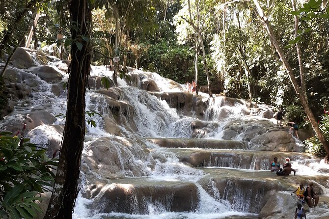 Montego Bay Highlight City Experience - Exploring Montego Bay