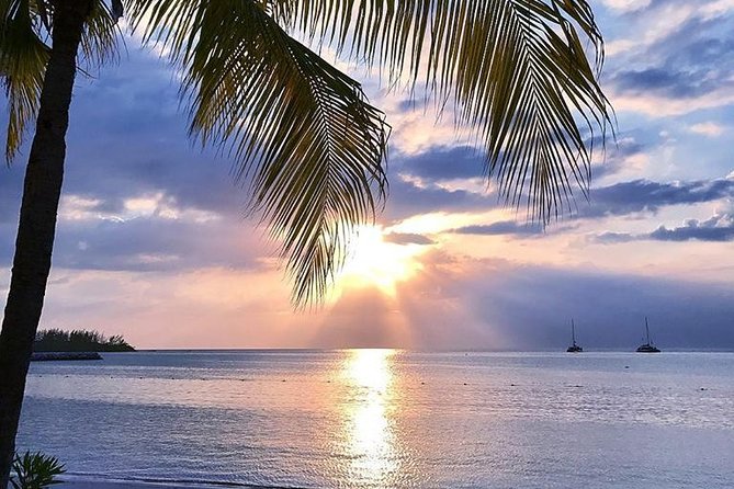 Montego Bay Highlights Private Full Day Tour From Falmouth - Customer Reviews
