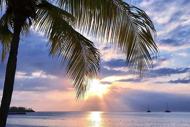 Montego Bay Highlights Tour From Montego Bay - Included and Excluded
