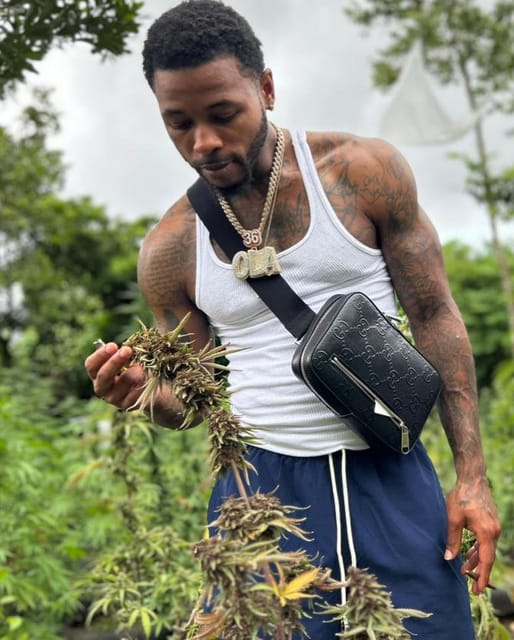 Montego Bay Jet Ski and Marijuana Farm Private Tour - Key Points