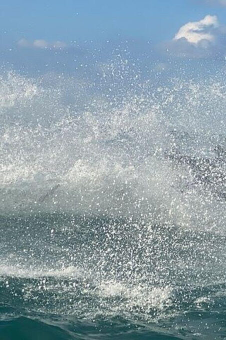 Montego Bay: JetSki Adventure - Recap