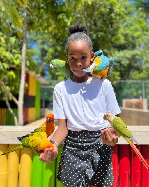 Montego Bay: Marijuana Farm and Bird Sanctuary Tour - Itinerary Details