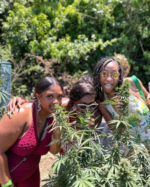 Montego Bay: Marijuana Farm and Bird Sanctuary Tour - Transportation and Guide
