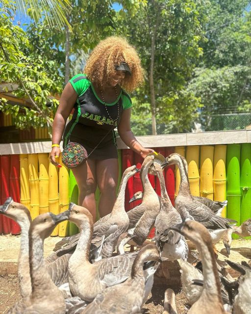 Montego Bay: Marijuana Farm and Bird Sanctuary Tour - Exploring the Marijuana Farm