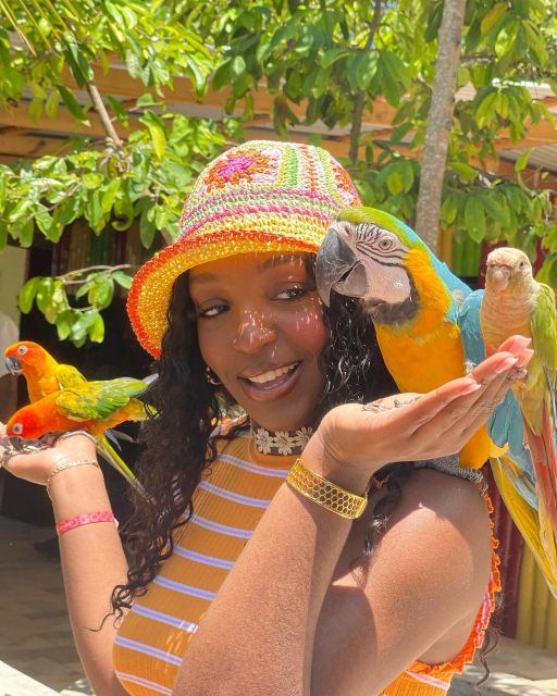 Montego Bay: Marijuana Farm and Bird Sanctuary Tour - Refreshments and Recap
