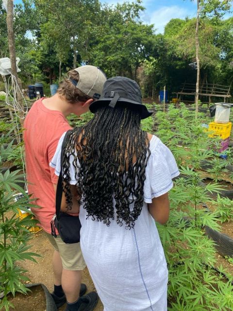 Montego Bay: Marijuana Farm and Bird Sanctuary Tour - Frequently Asked Questions