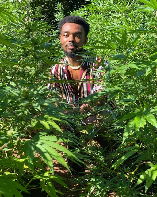 Montego Bay Marijuana Farm Private Tour - Educational Experience