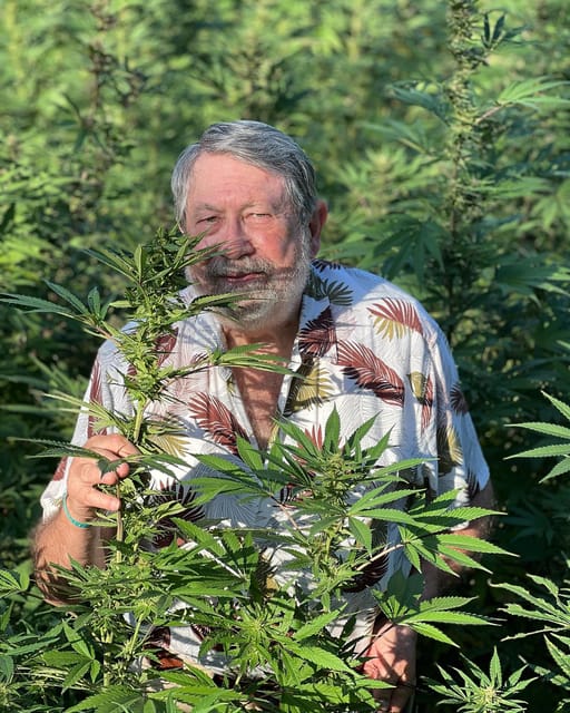 Montego Bay: Marijuana Farm Private Tour With Transportation - Tour Overview and Pricing